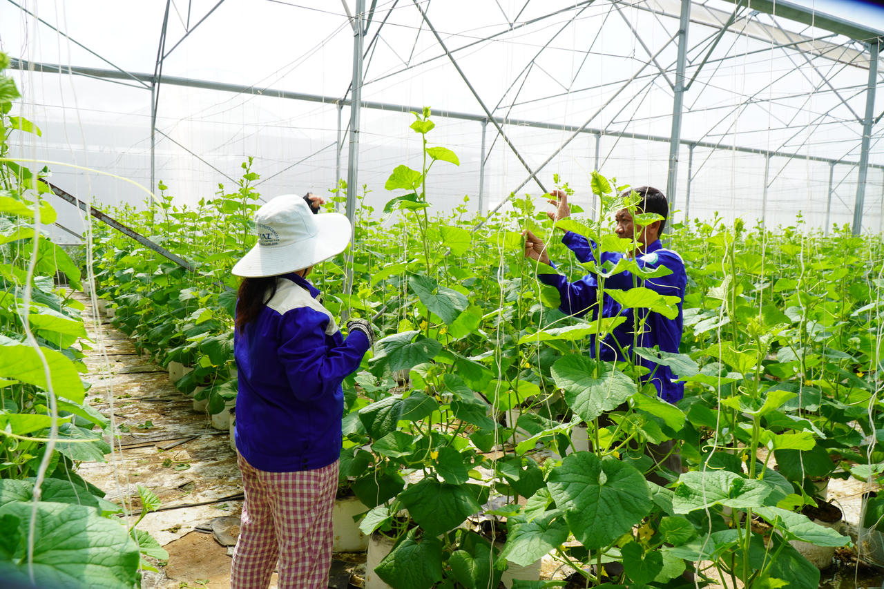Saigon Co.op kiểm soát hàng hoá từ gốc, đẩy mạnh truy xuất, minh bạch chuỗi cung ứng