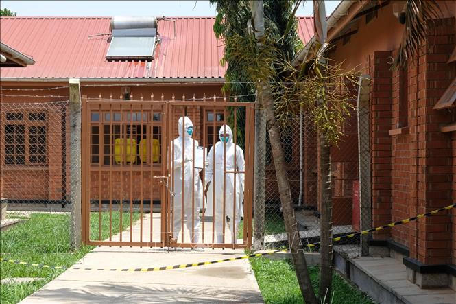 WHO công bố Uganda chính thức hết dịch Ebola