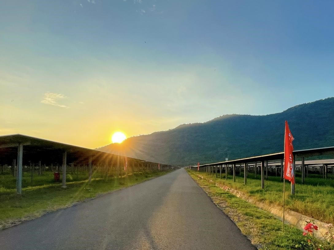 Đi giữa An Hảo Solar Farm, nghe mặt trời kể chuyện bình yên.