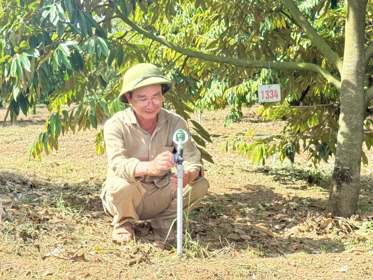 Triển khai Nghị quyết 57: Quảng Ngãi từng bước hiện thực hóa mục tiêu xây dựng nền nông nghiệp thông minh, xanh và bền vững