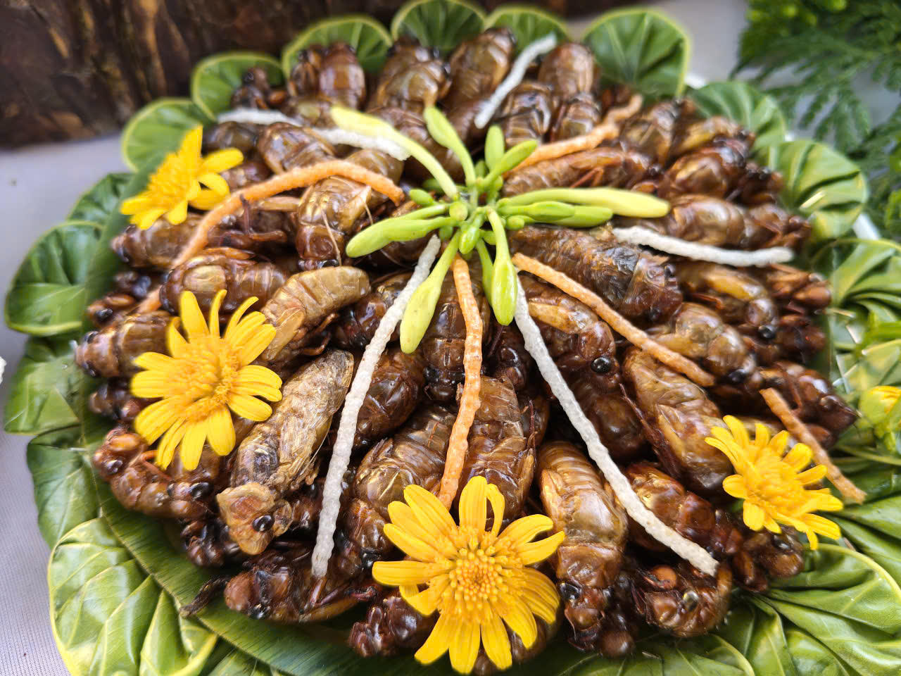 Món nhộng ve, một trong những món ăn quen thuộc ở vùng cao Sơn La (Ảnh: PV).