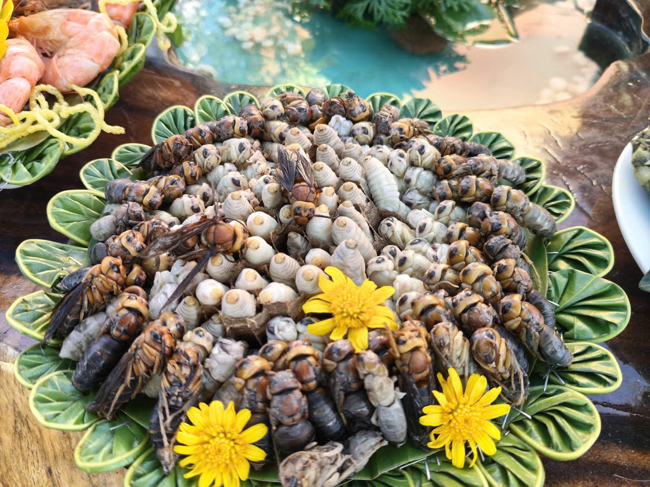 Món nhộng ong rừng (Ảnh: PV).