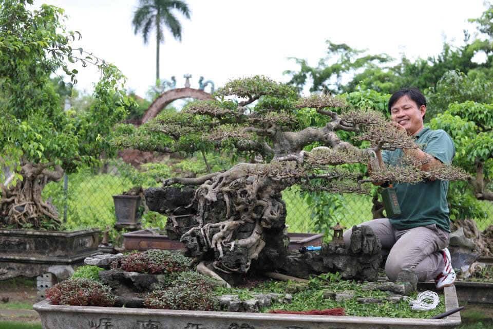 Cây cảnh Hồng Vân – Từ nghề truyền thống đến sản phẩm OCOP gắn với du lịch làng quê