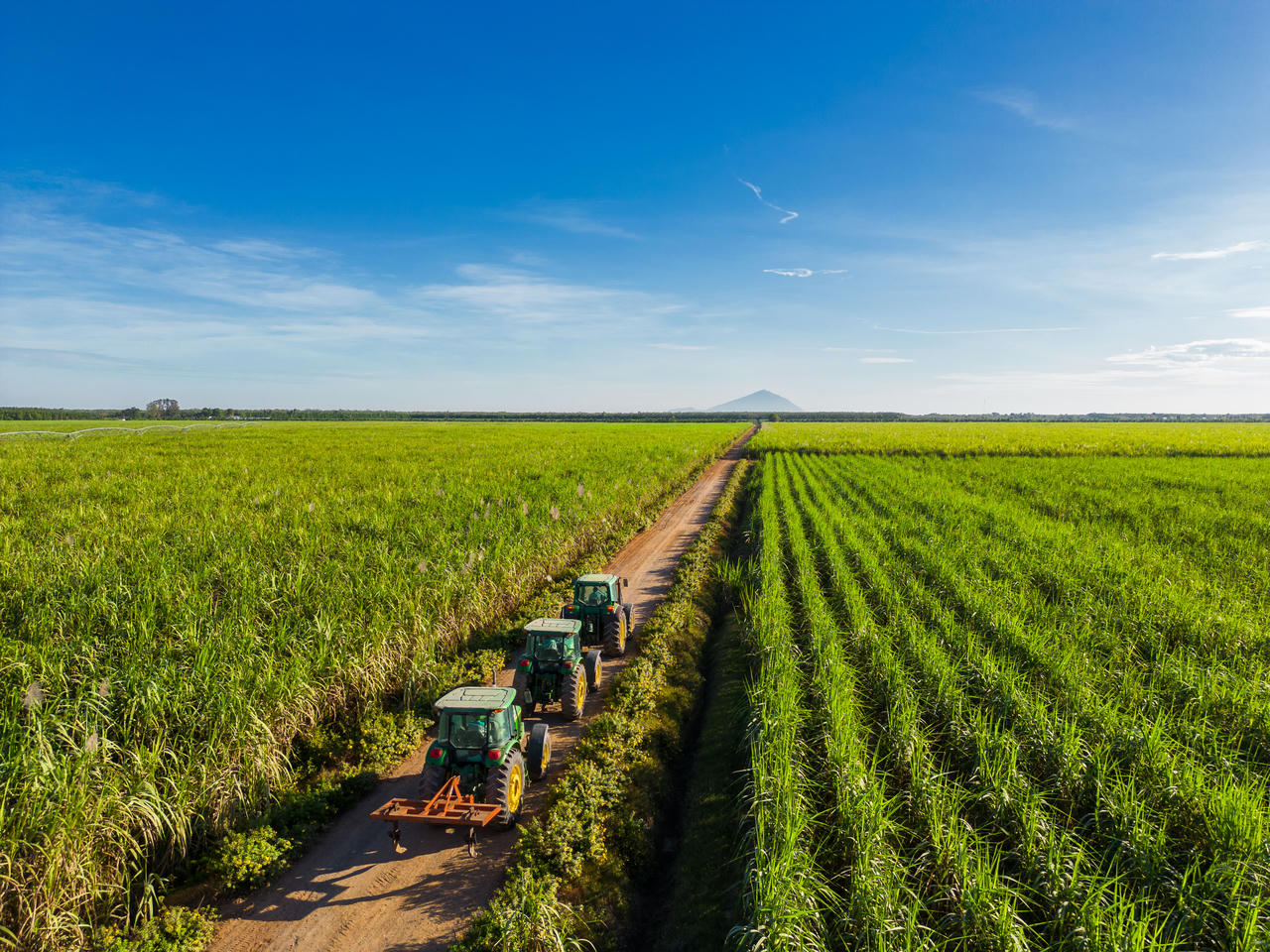 AgriS sở hữu vùng nguyên liệu gần 80.000 ha tại Việt Nam, Lào, Campuchia và Úc