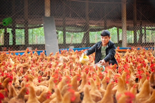 Người dân xã Gio Linh chủ động sản xuất, phát triển kinh tế gia đình.