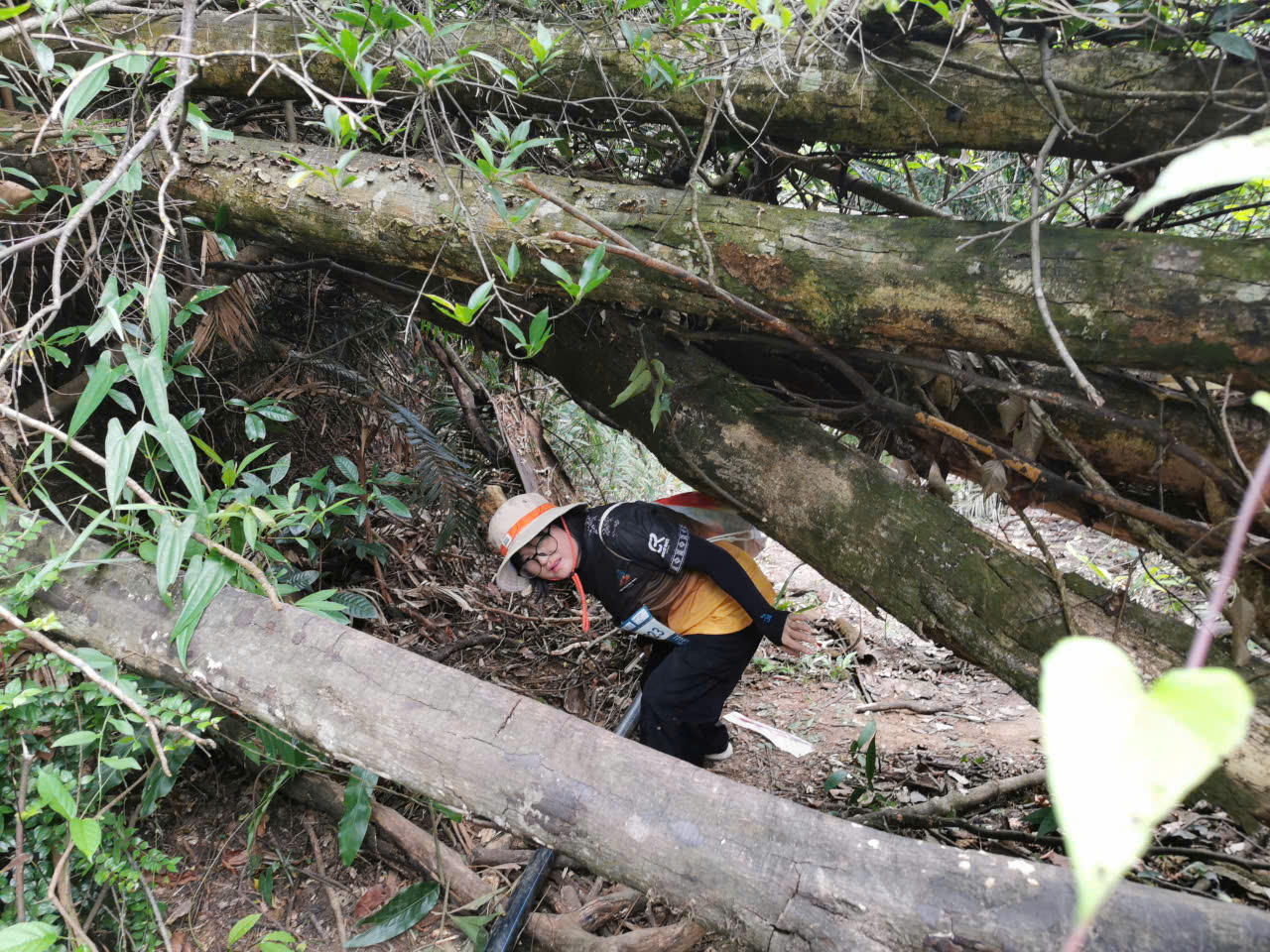 Hàng ngàn VĐV khám phá di sản và lan tỏa tinh hoa tại Yên Tử Ultra Trail