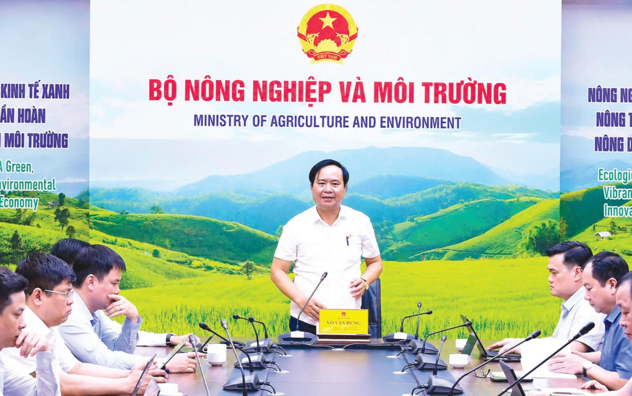 Gỡ 'thẻ vàng' IUU: Định vị nghề cá Việt Nam trong chuỗi giá trị thủy sản toàn cầu