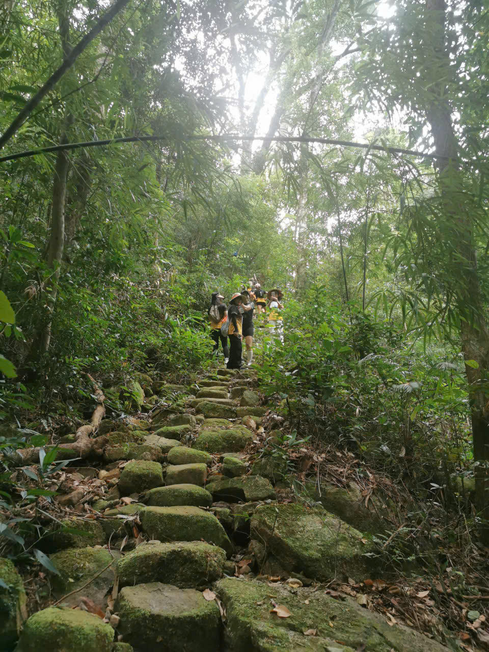 Hàng ngàn VĐV khám phá di sản và lan tỏa tinh hoa tại Yên Tử Ultra Trail
