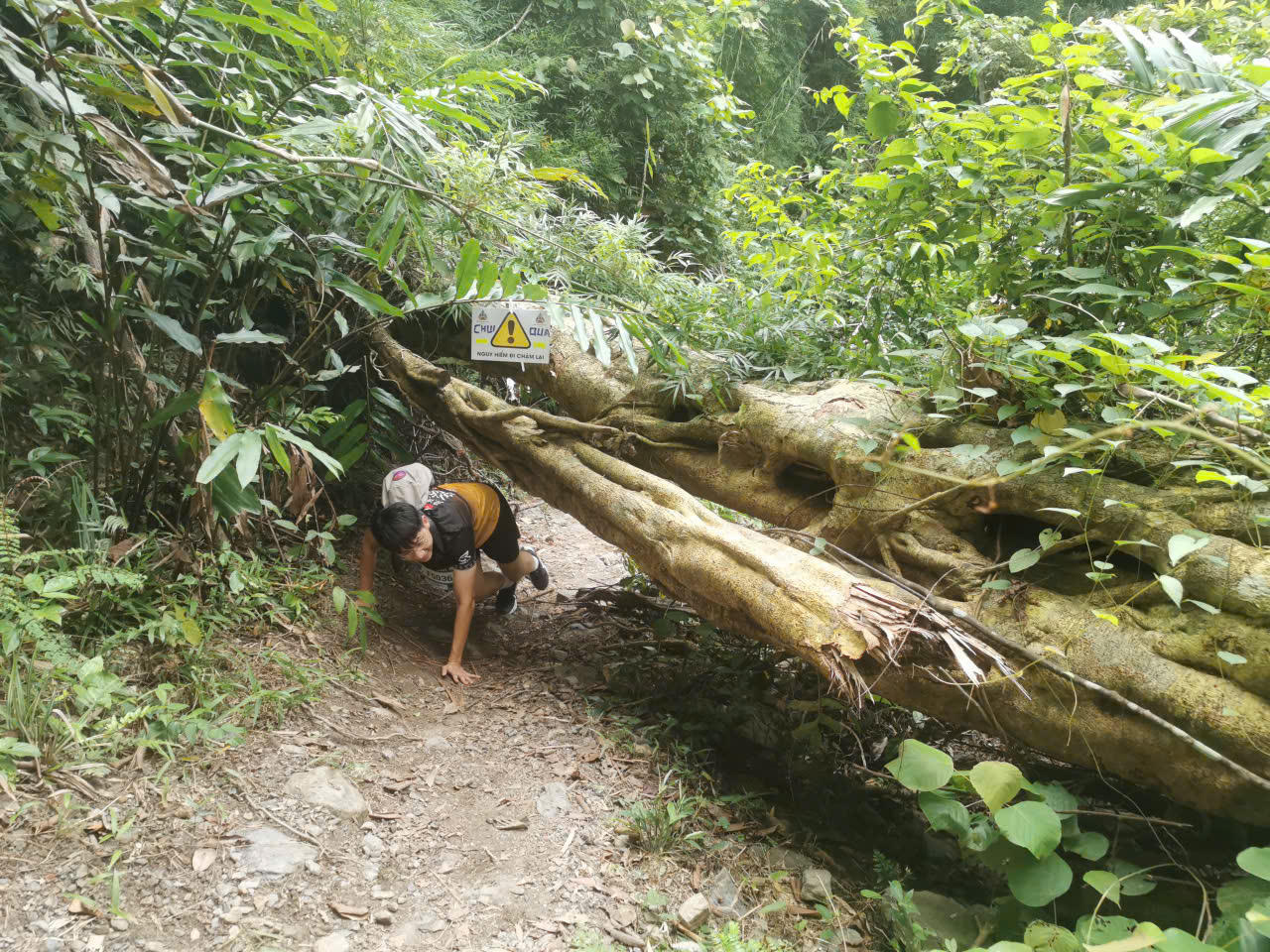 Hàng ngàn VĐV khám phá di sản và lan tỏa tinh hoa tại Yên Tử Ultra Trail