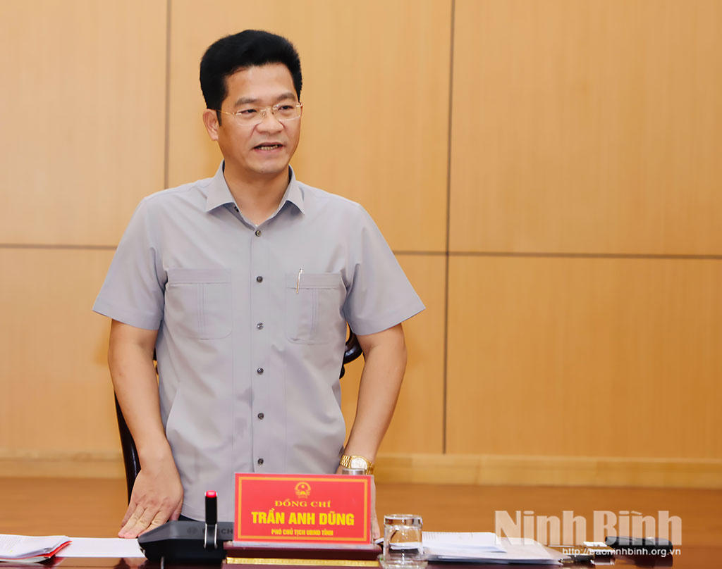 Phó Chủ tịch UBND tỉnh Trần Anh Dũng phát biểu kết luận Hội nghị (ảnh Báo Ninh Bình)
