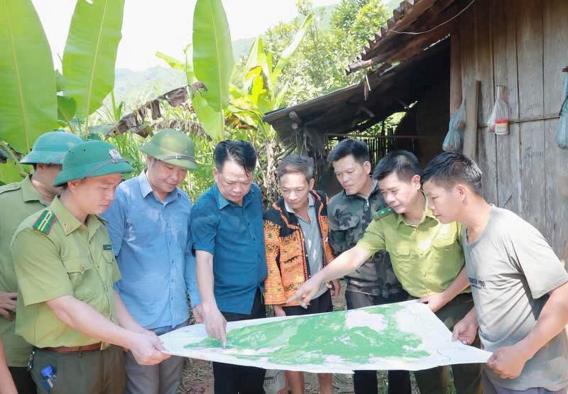 Hơn 153 tỷ đồng giữ 'lá phổi xanh' Tây Yên Tử