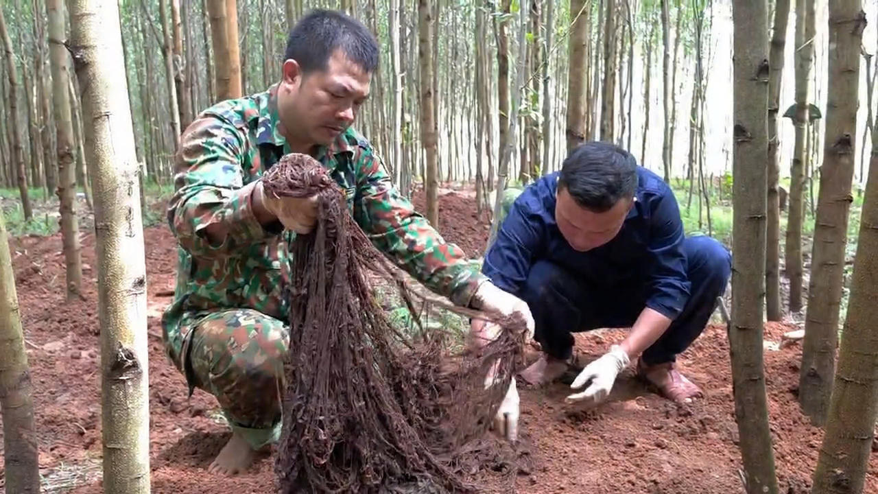 Lực lượng tìm kiếm, quy tập cẩn trọng thu gom các di vật tại khu vực phát hiện hài cốt liệt sĩ ở Bãi Dinh. (Ảnh: Bộ CHQS tỉnh Quảng Trị)