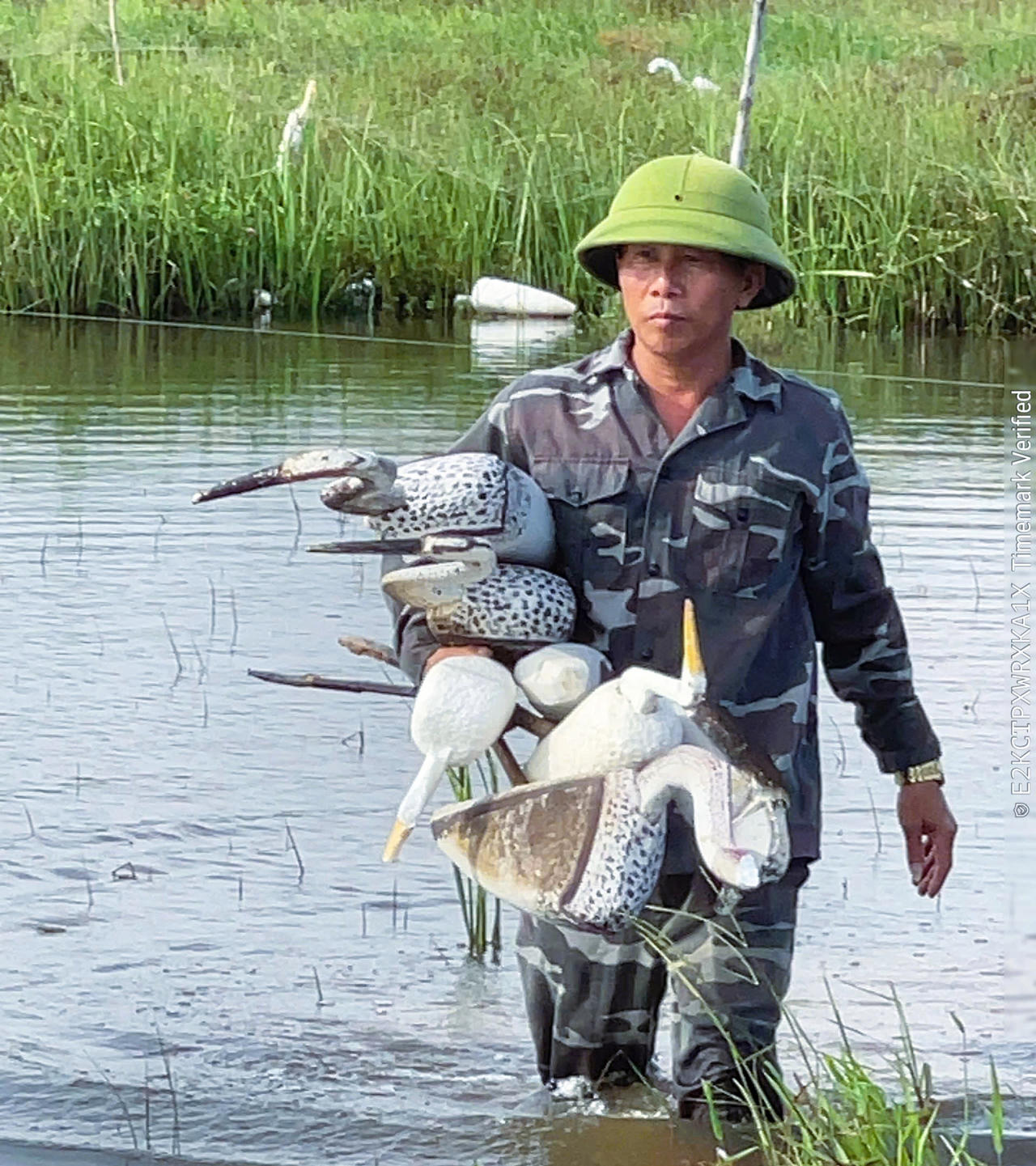 Nghệ An tăng cường ngăn chặn săn bắt chim di cư