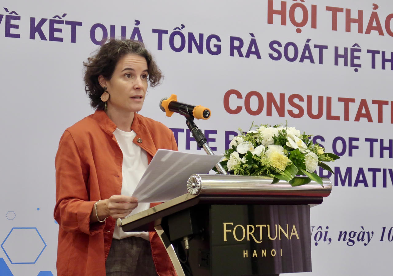 Phó Trưởng đại diện thường trú UNDP Việt Nam Francesca Nardini phát biểu tại hội thảo.