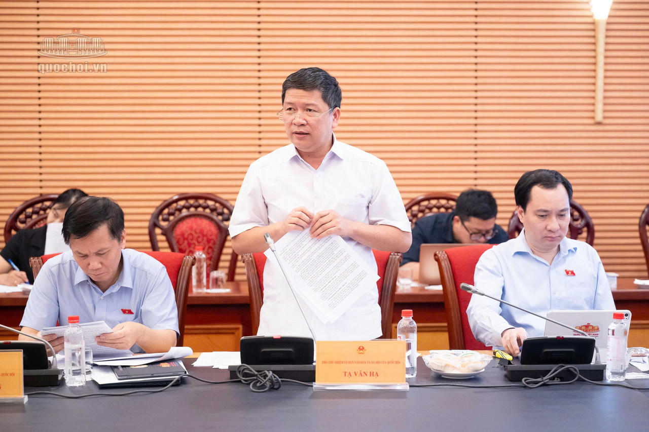 Phó Chủ nhiệm Ủy ban Văn hoá và Xã hội Tạ Văn Hạ phát biểu tại phiên họp .