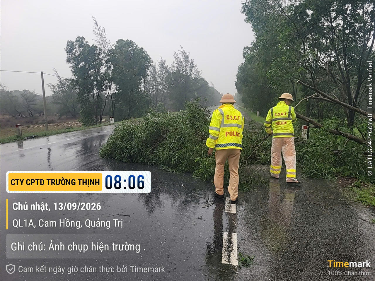 Cây xanh gãy đổ chắn ngang đường tránh lũ BOT Quốc lộ 1A, đoạn qua xã Cam Hồng. (Ảnh: CSGT Quảng Trị)