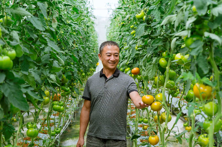 Khách hàng của BIDV với mô hình nông nghiệp hữu cơ tại Lâm Hà.