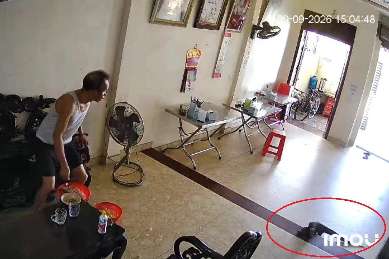 Ông Đỗ Xuân Hoài phát hiện con kỳ đà hoa bò vào nhà. Ảnh: Cắt từ Clip