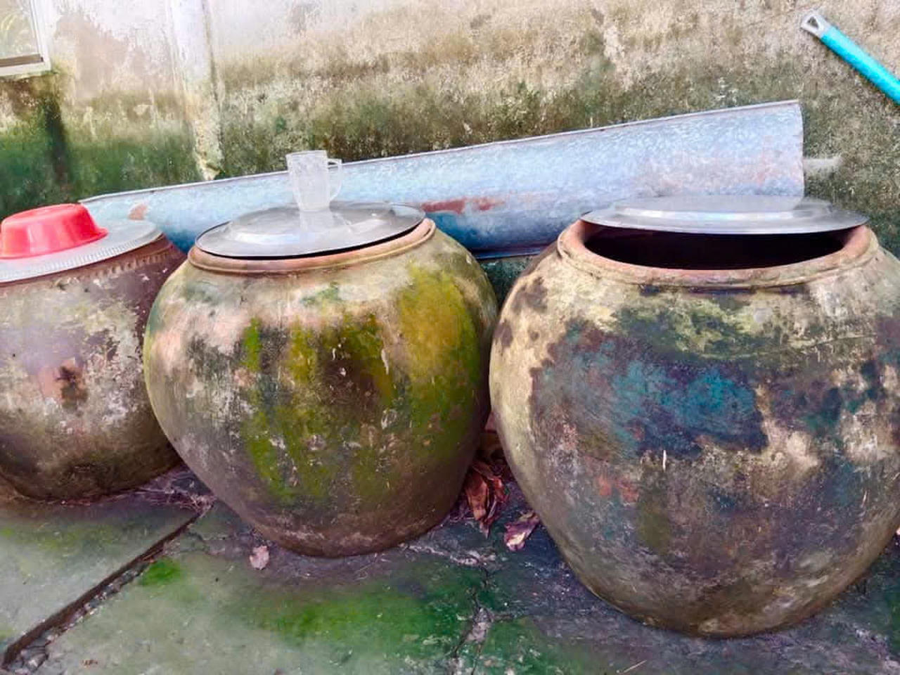 Cà Mau chủ động ứng phó hạn hán, xâm nhập mặn do El Niño