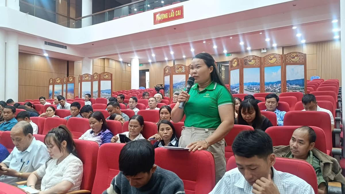 Tăng cường giải pháp giảm thiểu tảo hôn và hôn nhân cận huyết thống ở Lào Cai