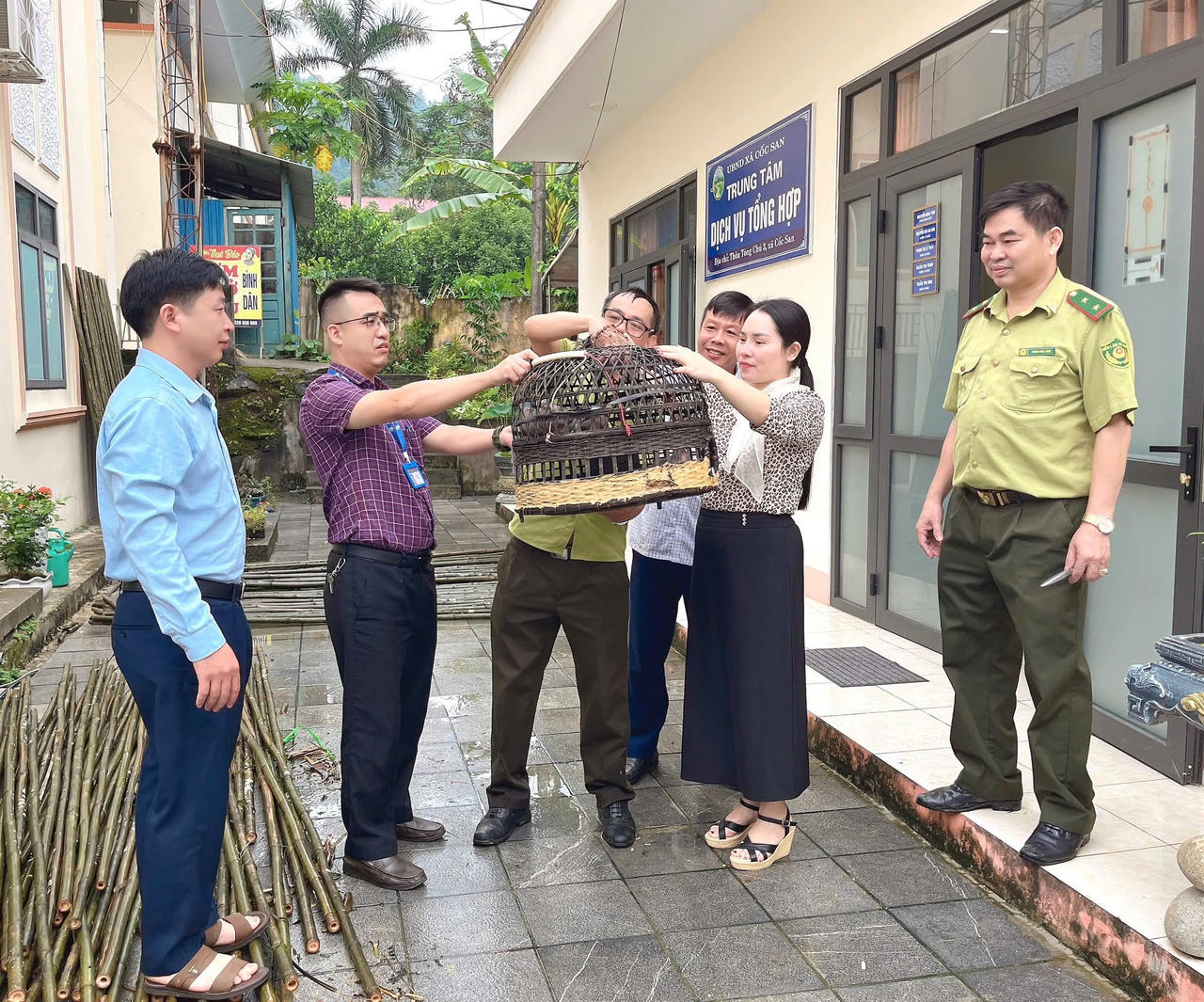 Hạt Kiểm lâm khu vực Bát Xát giải cứu 7 con chim ngói mắc bẫy