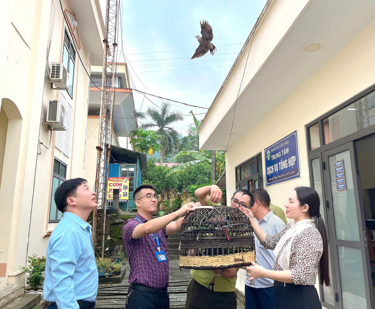 Đoàn công tác đã lập biên bản, tháo dỡ và xử lý số dụng cụ bẫy chim theo quy định; đồng thời thả 7 cá thể chim ngói về môi trường tự nhiên.