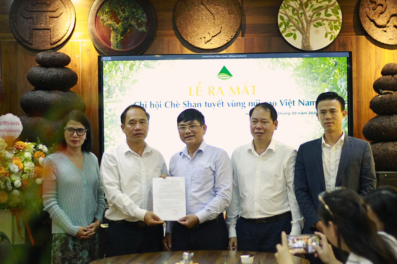 Hiệp hội Chè Việt Nam (VITAS) tổ chức Lễ ra mắt Chi hội Chè Shan Tuyết vùng núi cao Việt Nam.