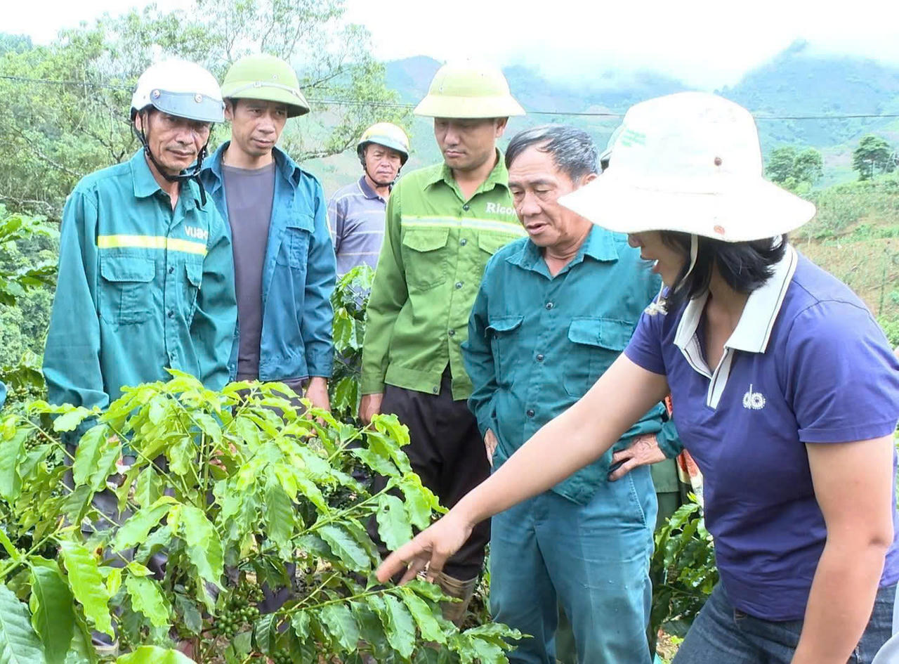 Tạo động lực bứt phá từ phát triển nông nghiệp hàng hóa của xã Chiềng Sinh
