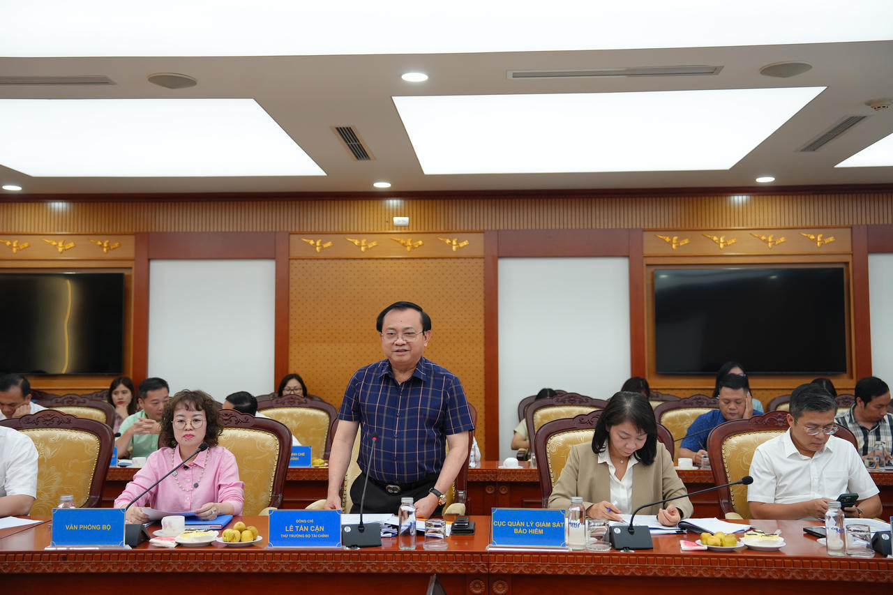Thứ trưởng Bộ Tài chính Lê Tấn Cận phát biểu tại buổi kiểm tra.