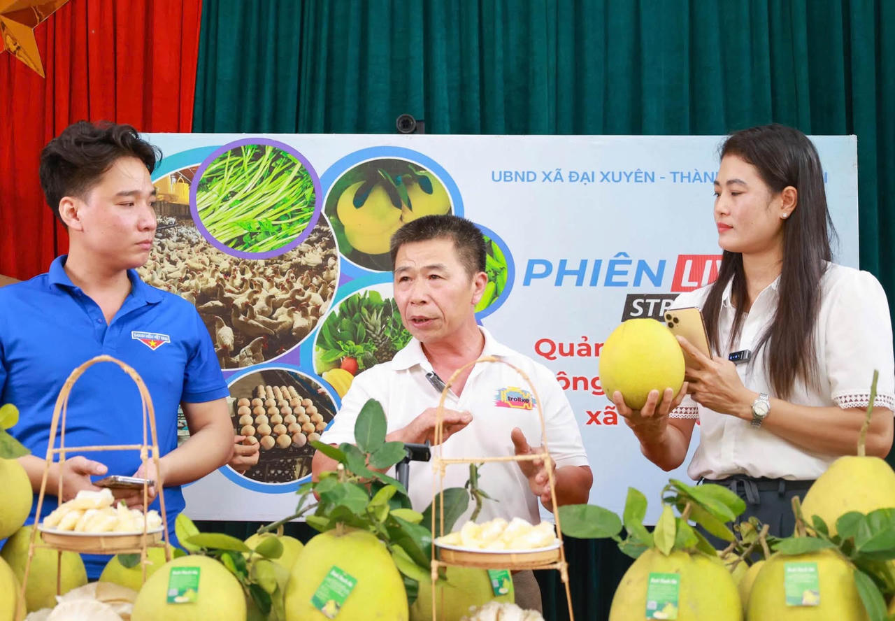 Bộ tiêu chí nông thôn mới giai đoạn 2026 - 2030 đặt ra yêu cầu phát triển sản phẩm OCOP gắn với đặc trưng, thế mạnh của địa phương và triển khai hiệu quả hoạt động thương mại điện tử. (Ảnh: Xã Đại Xuyên tổ chức livestream quảng bá sản phẩm OCOP bưởi Thồ Bạch Hạ).