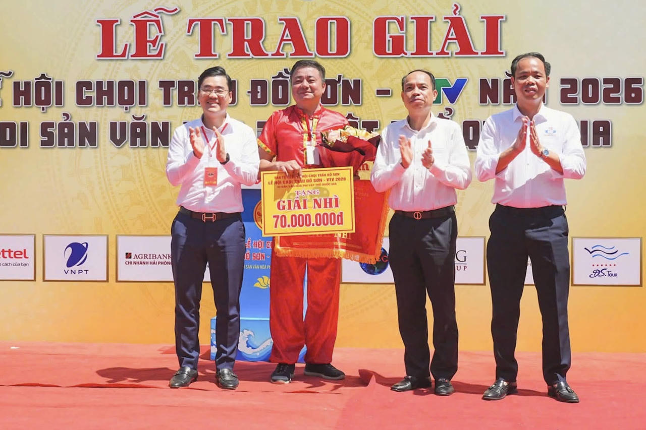 Giải Nhì thuộc về trâu số 21 của ông Hoàng Gia Dũng. (Ảnh: Hải Anh)