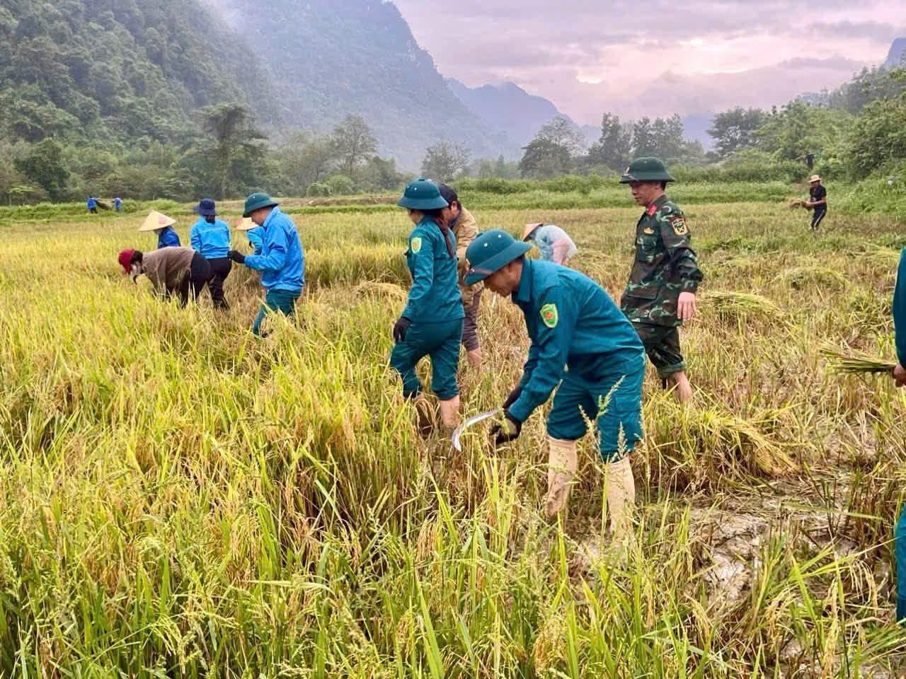 Bộ đội giúp dân giữ mùa lúa, đưa thầy cô vào bản giữa vùng chia cắt