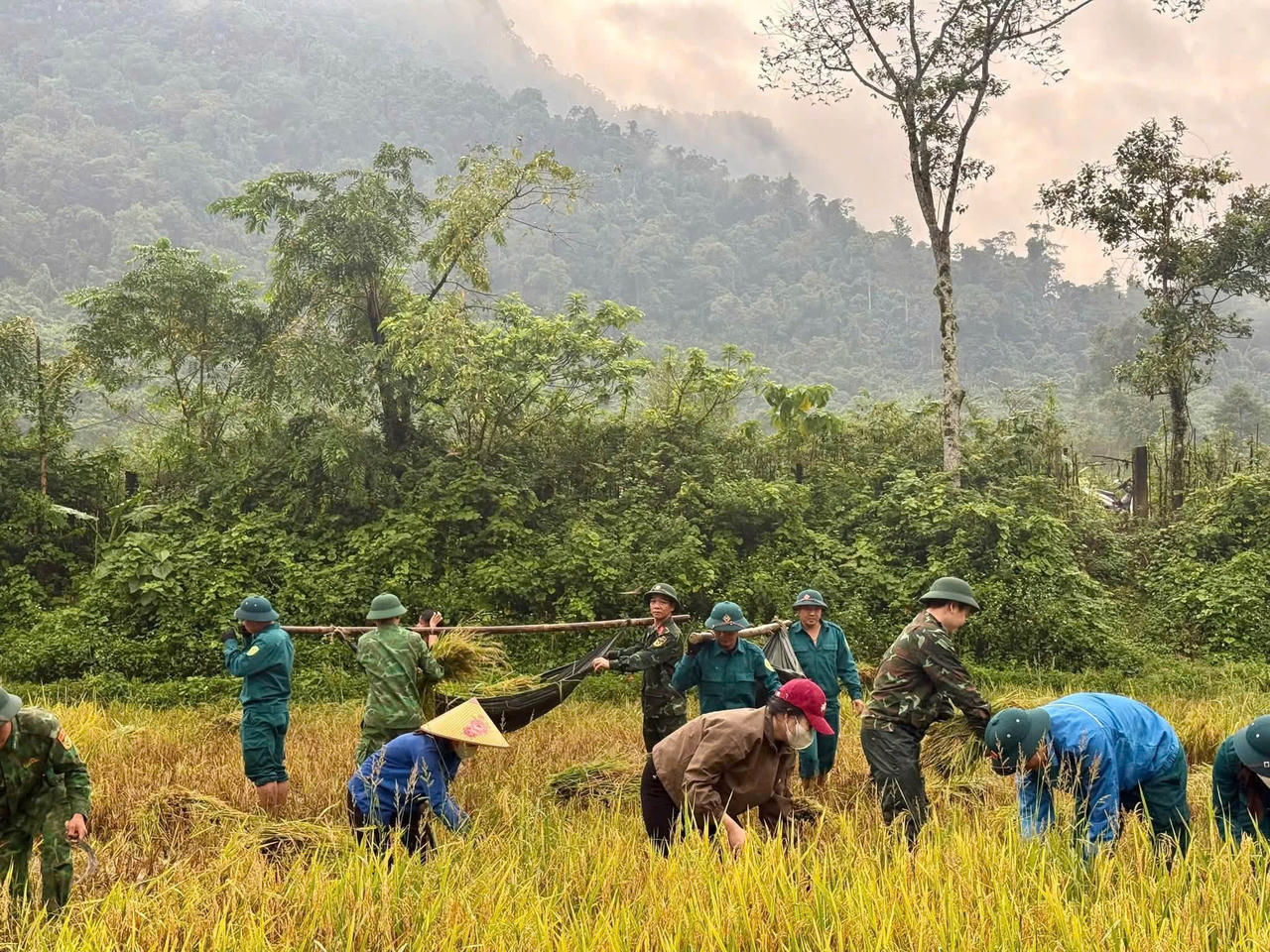 Bộ đội giúp dân giữ mùa lúa, đưa thầy cô vào bản giữa vùng chia cắt