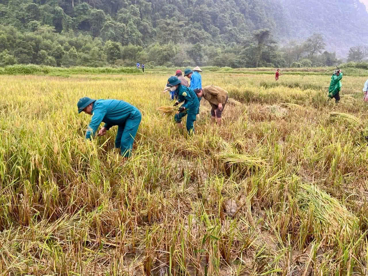 Bộ đội giúp dân giữ mùa lúa, đưa thầy cô vào bản giữa vùng chia cắt