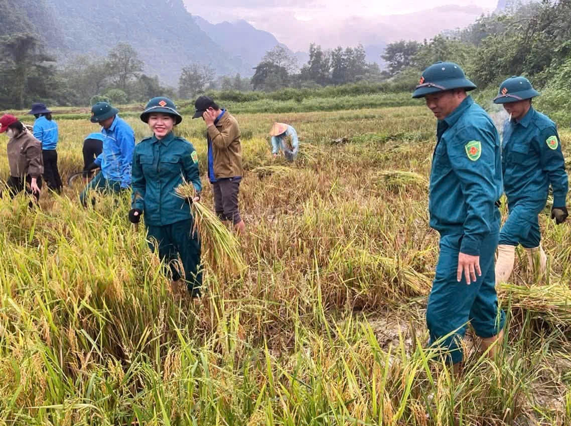 Bộ đội giúp dân giữ mùa lúa, đưa thầy cô vào bản giữa vùng chia cắt
