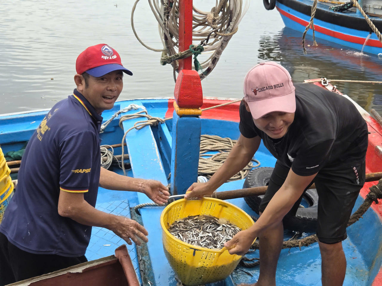 Ngư dân Hà Văn Quang, chủ tàu QNg 91135 TS cho biết, sau một đêm khai thác ở vùng biển cách đất liền khoảng 30 - 50 hải lý, tàu thu được 3 tấn cá cơm.