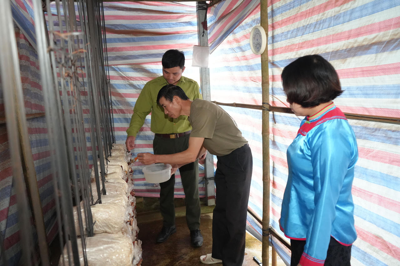 Dự án được triển khai tại xã Tả Van và Bản Hồ với tổng số 90 hộ tham gia. (Ảnh: Cổng TTĐT xã Tả Van)