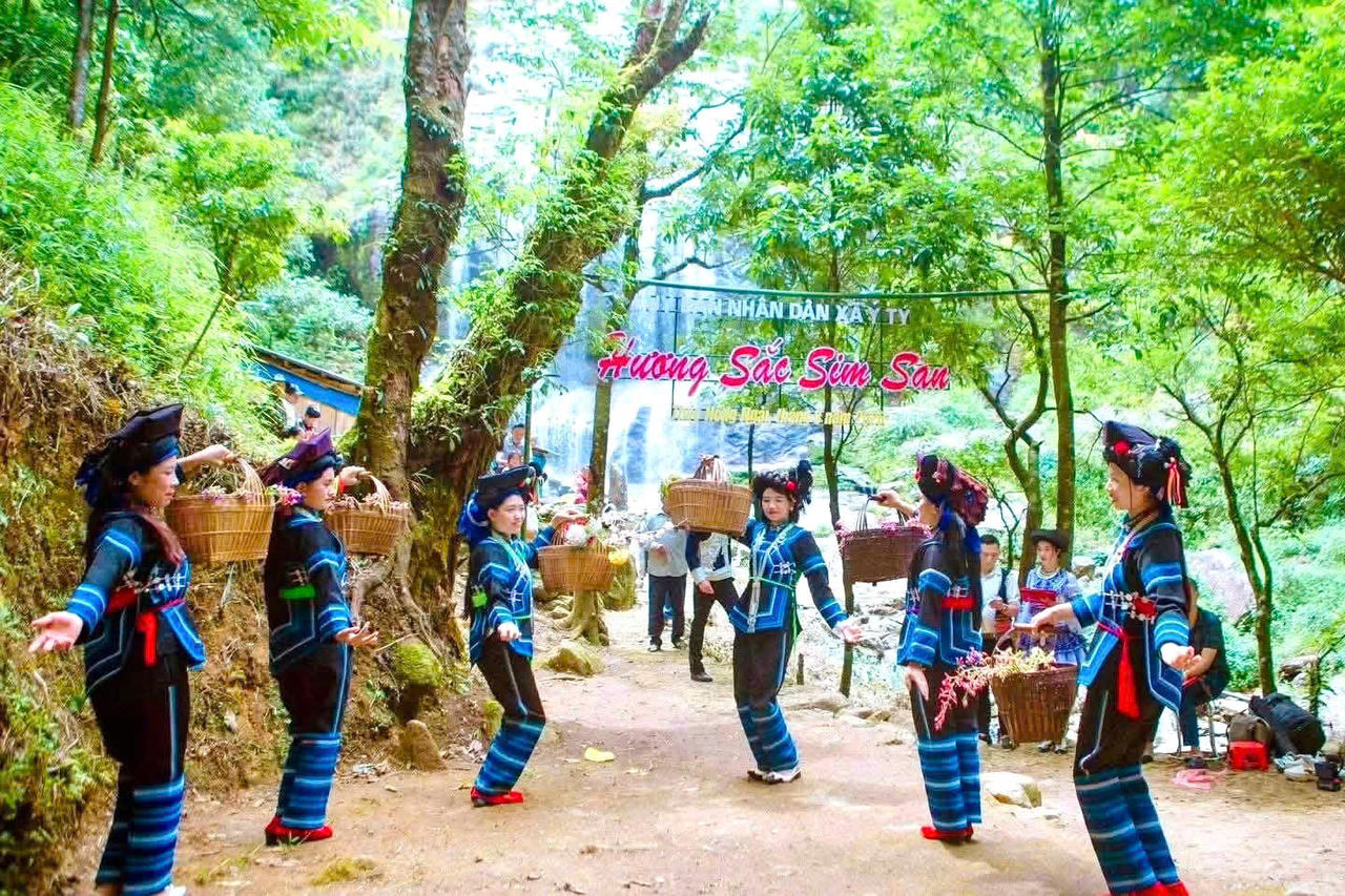 Phát triển dược liệu gắn với du lịch cộng đồng góp phần tạo thêm sinh kế và quảng bá bản sắc văn hóa các dân tộc Lào Cai. (Ảnh: Nguyễn Hải)