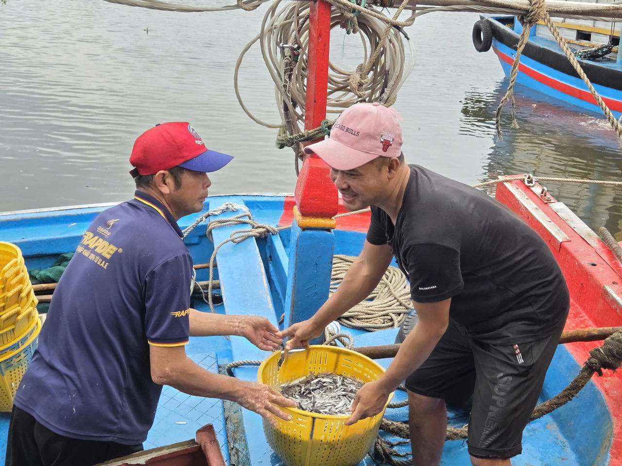 Ngư dân Quảng Ngãi vui mừng mùa cá cơm bội thu