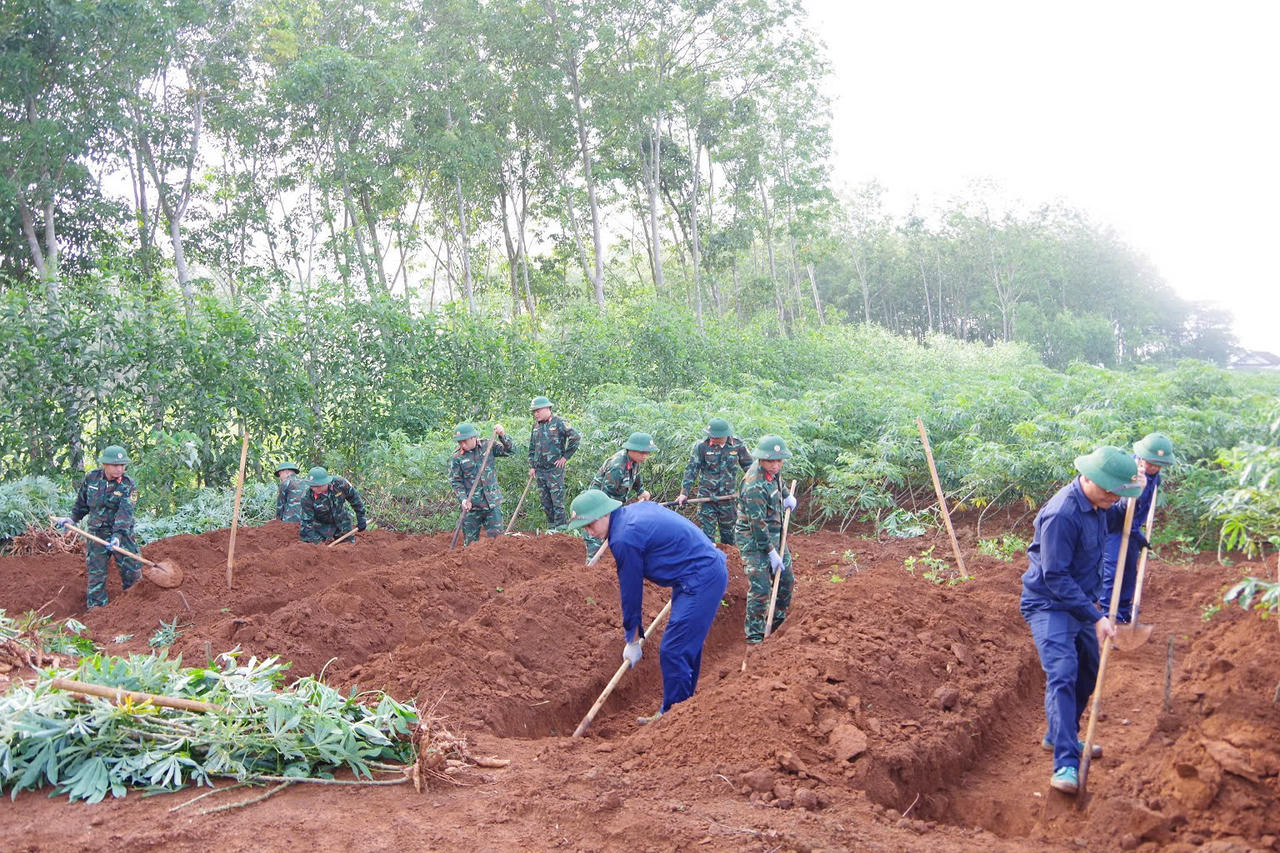 Đội Tìm kiếm, quy tập hài cốt liệt sĩ số 2, Phòng Chính trị, Bộ CHQS tỉnh tiến hành tìm kiếm hài cốt 11 liệt sĩ đặc công hy sinh trong trận đánh ngày 29/4/1965. (Ảnh: Xuân Diện)