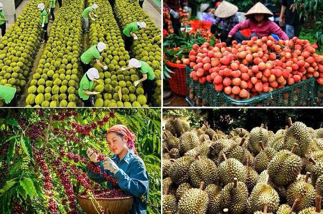 Sản phẩm mang thương hiệu Việt