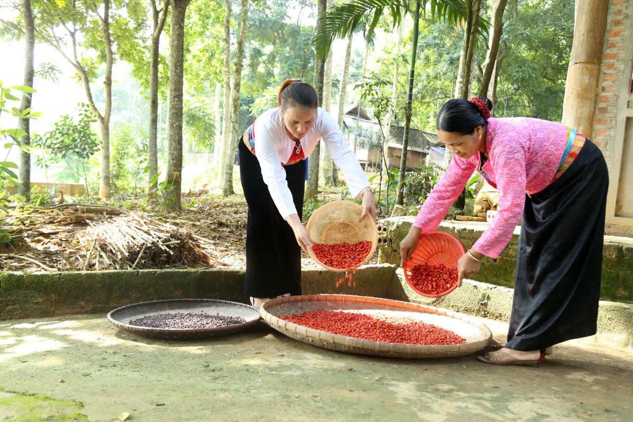 Hiệu quả tín dụng chính sách nhìn từ những mô hình sinh kế ở Lạc Sơn