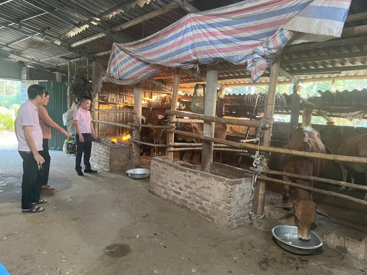 Hoạt động tại các điểm giao dịch xã giúp đưa nguồn vốn và chính sách tín dụng ưu đãi đến gần hơn với người dân Lạc Sơn.