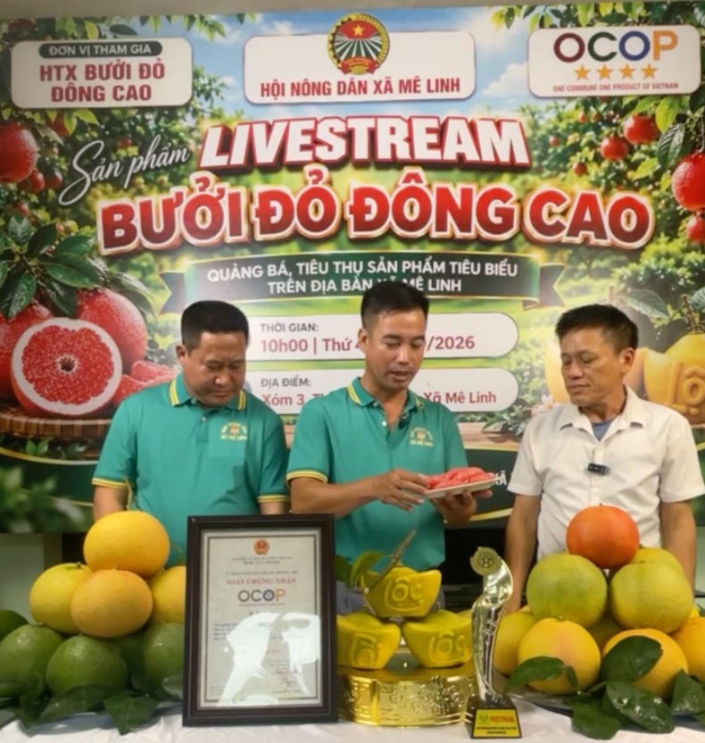 Sản phẩm bưởi đỏ Đông Cao OCOP 4 sao được giới thiệu trực tiếp tới người xem trên nền tảng số. (Ảnh: PV).