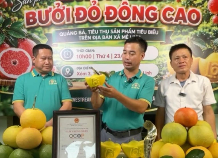 Đưa bưởi đỏ Đông Cao lên livestream, mở thêm kênh tiêu thụ cho nông dân