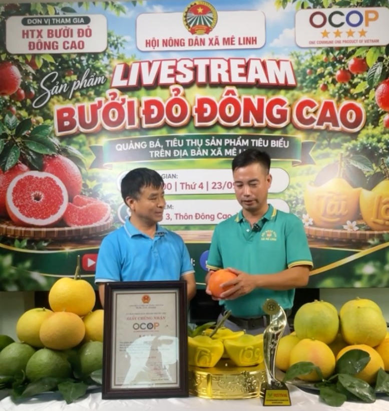Livestream giúp người sản xuất trực tiếp giới thiệu đặc điểm của bưởi đỏ Đông Cao tới người tiêu dùng. (Ảnh: PV).
