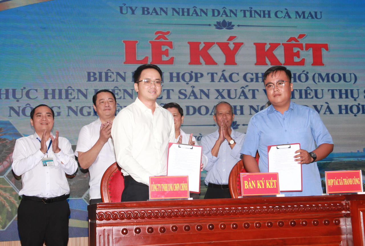 Cà Mau: Tìm hướng phát triển kinh tế tập thể, hợp tác xã trong giai đoạn mới
