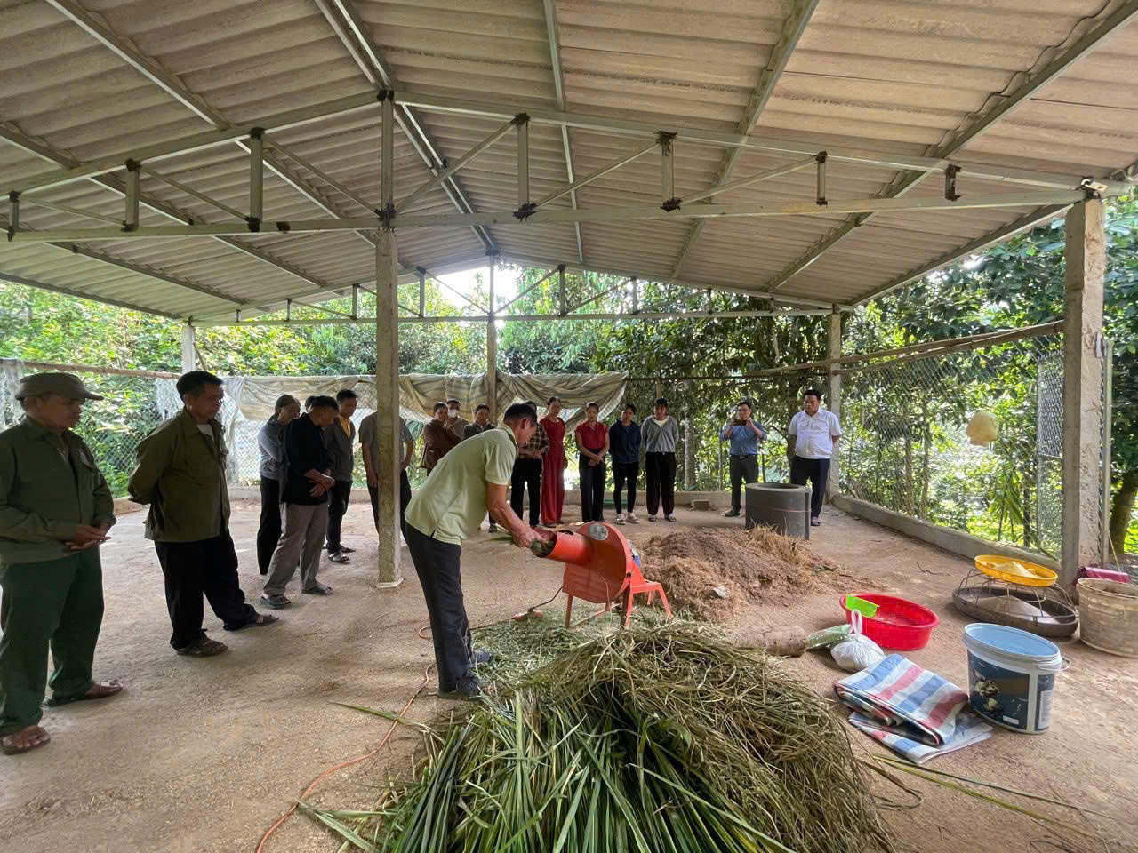 Nhân rộng mô hình chăn nuôi lợn nái an toàn dịch bệnh dựa vào cộng đồng tại Lào Cai
