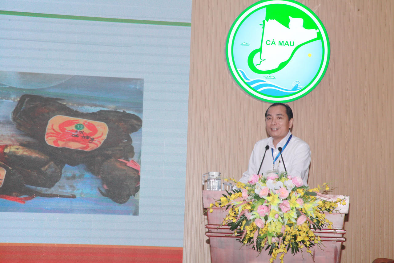 PGS.TS Võ Hồng Tú trình bày giải pháp tổ chức lại sản xuất nông nghiệp Cà Mau trên nền tảng kinh tế tập thể và hợp tác xã (Ảnh: T.N).