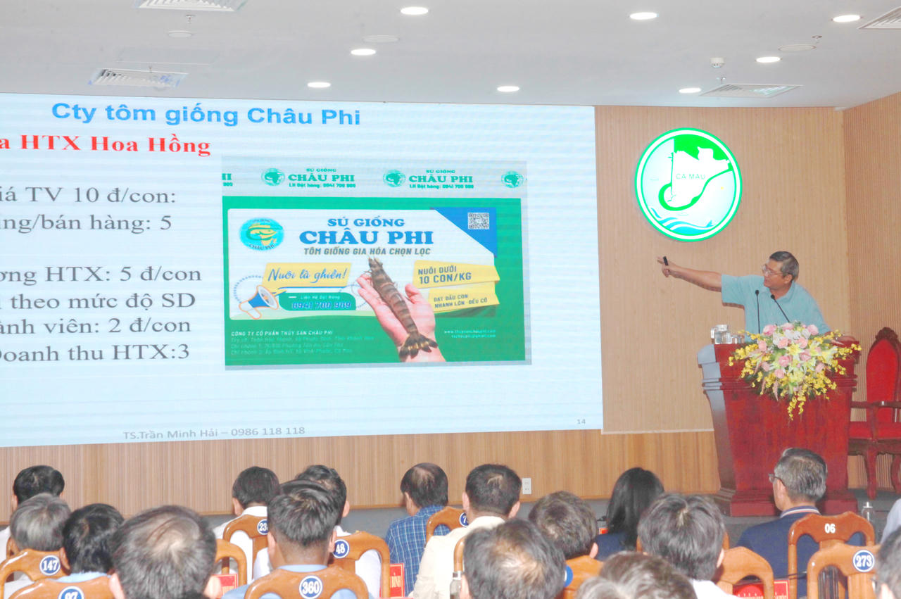 Cà Mau: Tìm hướng phát triển kinh tế tập thể, hợp tác xã trong giai đoạn mới